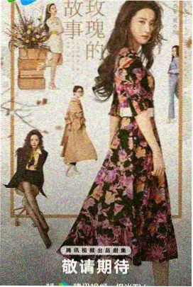 雾港档案 犯罪推理剧高清剧集在线观看
